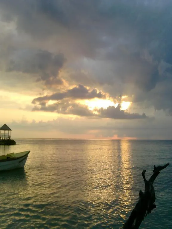 بيت ضيافة Shades Cottage Guesthouse Blue Hole