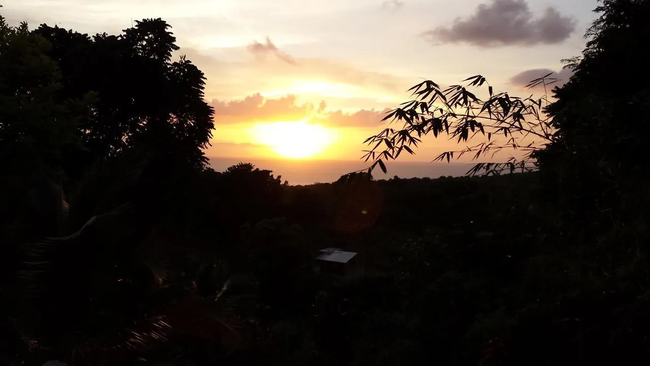 بيت ضيافة Shades Cottage Guesthouse Blue Hole جامايكا