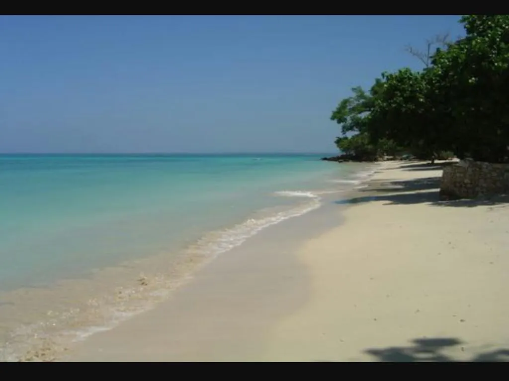 Shades Cottage Guesthouse Blue Hole Jamajka